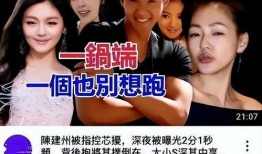 台媒爆料大s最新视频,台媒揭秘幕后真相
