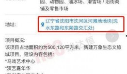 爆料最新项目是什么,行业颠覆者即将亮相