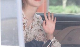 杨紫金晨最新爆料,揭秘娱乐圈背后的故事