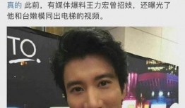 王力宏爆料 视频大全最新,揭秘娱乐圈不为人知的幕后故事