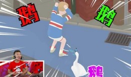 爆料大鹅解说是谁啊最新,爆料大鹅解说背后的神秘人物