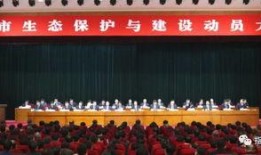 今日头条白城最新爆料,今日头条最新爆料，揭秘事件真相！