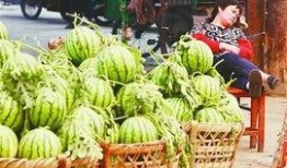 全球最大吃瓜爆料事件最新进展,最新进展揭秘，真相即将浮出水面！