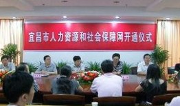 宜昌网络爆料事件最新,揭秘背后真相与影响