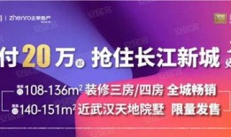 今日武汉爆料新闻最新,揭秘XX事件背后真相