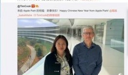 刘海最新爆料,揭秘手机屏幕革命性突破