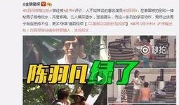 平湖最新爆料事件视频曝光,事件视频曝光，真相渐浮水面
