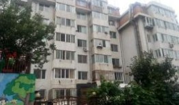 大连租房爆料最新消息,揭秘价格波动与热门区域