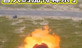 和平爆料最新消息,最新消息揭示惊人内幕