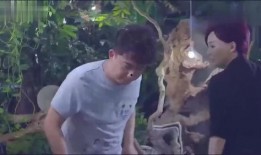 叶珊的最新消息爆料,揭秘娱乐圈惊人内幕