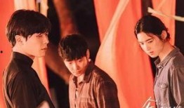 最新娱乐圈新闻爆料事件,神秘事件引发热议，真相即将揭晓