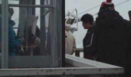 最新爆料暴雪视频下载,独家视频下载攻略揭秘