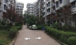 城南小区最新爆料新闻,揭秘真相与后续影响