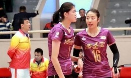 最新爆料李盈莹事件,揭秘背后真相与影响