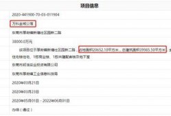 爆料最新项目是什么,行业颠覆者即将亮相