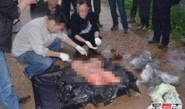 南大碎尸案最新爆料