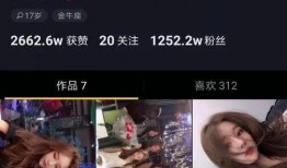 南阳网红爆料事件视频最新,真相与争议交织的舆论漩涡