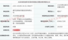 大冶爆料最新消息,最新动态揭秘，热点事件追踪