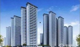 肇庆最新爆料,揭秘城市蜕变背后的故事